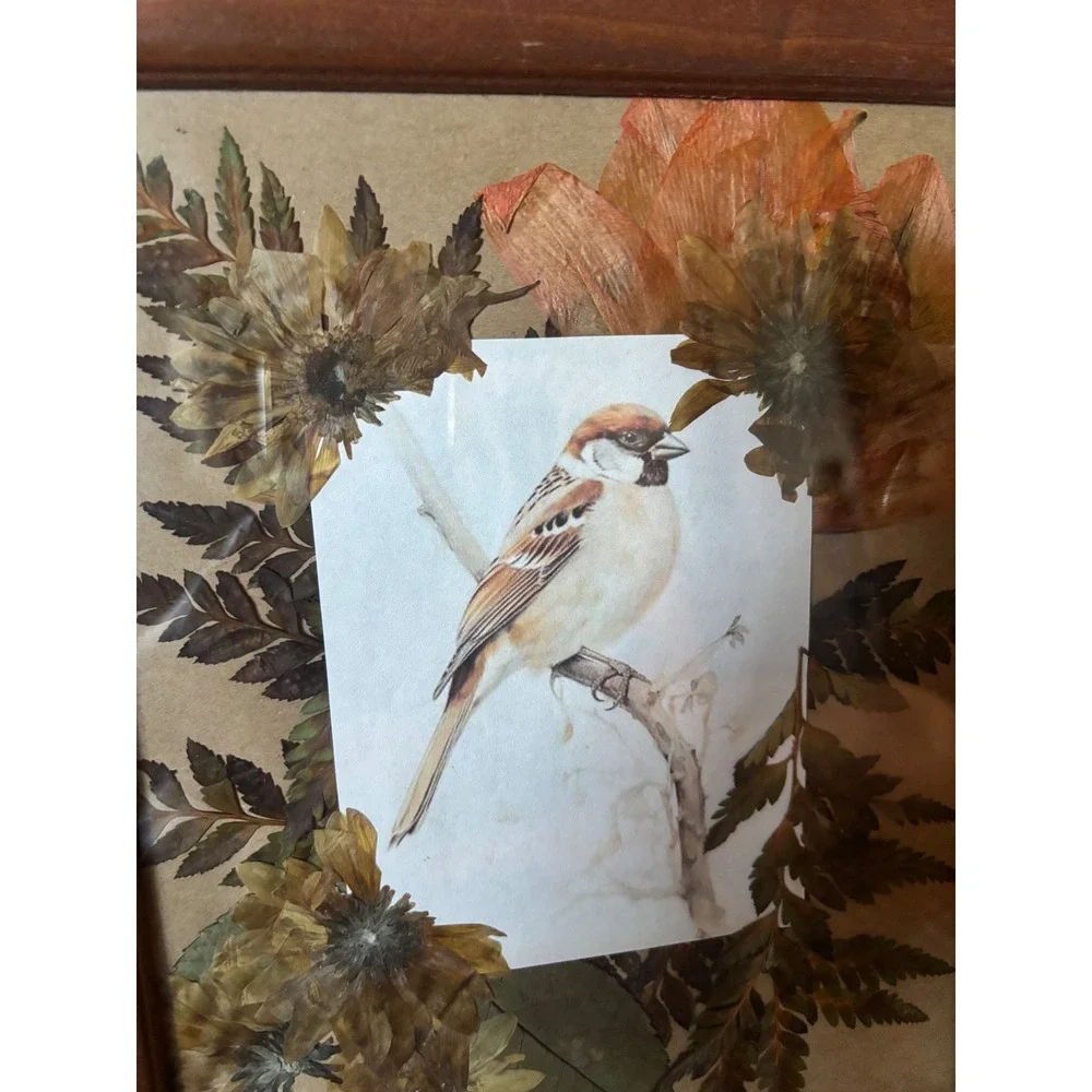 Vintage Framed Pressed Flower Bird Art Wood Frame Botanical Wall Decor 10x12